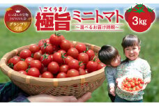 グランプリ受賞 完熟 出汁推し実 ミニトマト 3kg 