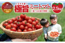 グランプリ受賞 完熟 出汁推し実 ミニトマト 2.5kg 