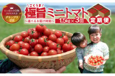 グランプリ受賞 完熟 出汁推し実 ミニトマト 1.5kg  3回お届け定期便
