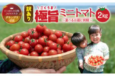 【訳あり】グランプリ受賞 完熟 出汁推し実 ミニトマト 2kg  