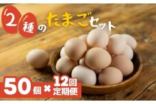 希少な2種のたまごセット 50個 12ヶ月定期便 割れ保証付き 卵 たまご 鶏卵 50 お楽しみ 定期便 12回 12か月 12カ月 1年