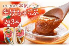 生けちゃっぷ 2種 3本セット ケチャップ 調味料 とまと トマト 素材 こだわり  12000円