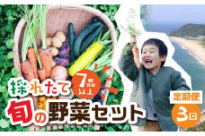 【 3回 定期便 】金賞受賞 旬彩野菜セット 旬の野菜 7品目以上 レシピ付き お届け 国産 新鮮 農薬不使用 化学肥料不使用 産地直送 こだわり野菜