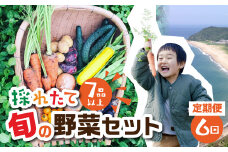 【 6回 定期便 】金賞受賞 旬彩野菜セット 旬の野菜 7品目以上 レシピ付き お届け 国産 新鮮 農薬不使用 化学肥料不使用 産地直送 こだわり野菜
