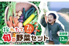【 12回 定期便 】金賞受賞 旬彩野菜セット 旬の野菜 7品目以上 レシピ付き お届け 国産 新鮮 農薬不使用 化学肥料不使用 産地直送 こだわり野菜  12か月