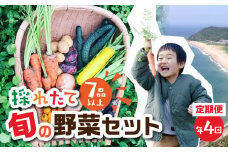 【年4回 定期便 】金賞受賞 旬彩野菜セット 旬の野菜 7品目以上 レシピ付き お届け 国産 新鮮 農薬不使用 化学肥料不使用 産地直送 こだわり野菜