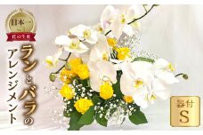 器に盛ったランとバラのアレンジ S 薔薇 胡蝶蘭 アレンジメントフラワーアレンジメント 飾り 生花 ギフト プレゼント 愛知県 田原市 日時指定可 30000円 3万円