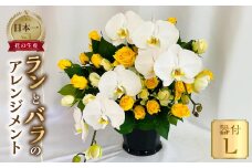 器に盛ったランとバラのアレンジ L 薔薇 胡蝶蘭 アレンジメントフラワーアレンジメント 飾り 生花 ギフト プレゼント 愛知県 田原市 日時指定可 50000円