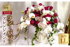 器に盛ったランとバラのアレンジ LL 薔薇 胡蝶蘭 アレンジメントフラワーアレンジメント 飾り 生花 ギフト プレゼント 愛知県 田原市 日時指定可 80000円