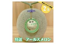 先行予約 道の駅の野菜ソムリエ厳選 アールスメロン 2L× 2玉 箱詰め メロン フルーツ 果物 お取り寄せ 渥美半島 産地直送 田原市 送料無料　めっくんはうす 13000円