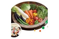 渥美半島のやさい特選便 13～15品目 特製ドレッシング付き 野菜ソムリエ監修 旬の野菜 セット 食べ比べ 季節限定 数量限定