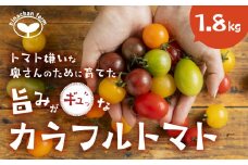 【先行予約】2025年発送　カラフルトマト　1.8kg