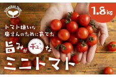 陽菜ちゃんトマト　1.8kg
