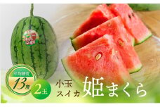 先行予約 糖度13度以上 姫まくら 2玉 小玉スイカ すいか くだもの フルーツ すいか