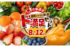 数量限定 旬の野菜 フルーツ 詰め合わせ ～ 12品 セット 旬 野菜ソムリエ 厳選 野菜セット フルーツ メロン いちご トマト アスパラガス トウモロコシ 玉ねぎ 国産 人気 ランキング やさい 野菜 果物 田原市 定番 8品目 12品目 