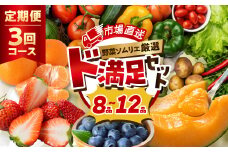 【定期便】 旬の野菜 フルーツ 詰め合わせ ～ 12品 3回 セット 旬 野菜ソムリエ 厳選 野菜セット フルーツ メロン いちご トマト アスパラガス トウモロコシ 玉ねぎ 国産 人気 ランキング やさい 野菜 果物 田原市 定番 8品目 12品目 頒布会