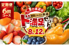 【定期便】 旬の野菜 フルーツ 詰め合わせ ～ 12品 6回 セット 旬 野菜ソムリエ 厳選 野菜セット フルーツ メロン いちご トマト アスパラガス トウモロコシ 玉ねぎ 国産 人気 ランキング やさい 野菜 果物 田原市 定番 8品目 12品目 頒布会