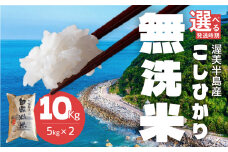 【令和6年産】渥美半島産 無洗米 コシヒカリ 5kg