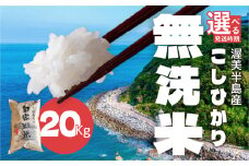 【12月発送】渥美半島産 無洗米 コシヒカリ 20kg