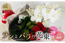 ランとバラの花束 ラン2本 バラ 6本 花束 薔薇 胡蝶蘭 花束 生花 ギフト プレゼント 日時指定可 愛知県 田原市 23000円 