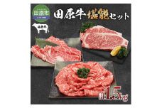 田原牛 堪能セット 牛ロース ステーキ250g×2 しゃぶしゃぶ用 500g すき焼き用 500g 牛肉 ビーフ 肩ロース ステーキ しゃぶしゃぶ お取り寄せ 牛 特産 ご当地 グルメ 国産 霜降り ふるさと納税 肉 冷凍 贅沢 和食 洋食 祝 田原市 送料無料