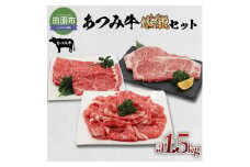 あつみ牛 堪能セット 牛ロース ステーキ250g×2 しゃぶしゃぶ用 500g すき焼き用 500g 牛肉 ビーフ 肩ロース ステーキ しゃぶしゃぶ お取り寄せ 牛 特産 ご当地 グルメ 国産 霜降り ふるさと納税 肉 冷凍 贅沢 和食 洋食 祝 田原市 送料無料