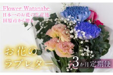 【定期便3回】お花屋さんのタハナＢＯＸ 定期便3回 定期便も選べる 定期便 3回 6回 12回 フラワーアレンジメント 花 お花 花束 ブーケ 季節 ギフト お祝い 誕生日 記念日 ギフト プレゼント インテリア お洒落 マム カラーマム 愛知県 田原市 10000円 1万円 キク、バラ、ガーベラ、アルストロメリア、カスミソウ、カーネーション