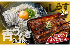青うなぎ＆しらす干し  渥美半島よくばりセット 年内 蒲焼き 鰻 ウナギ うなぎ蒲焼 惣菜 幻 簡単調理 おいしい 高評価 ふるさと納税 魚 さかな 魚介 ランキング しらす シラス ふるさとチョイス キャンペーン おすすめ 