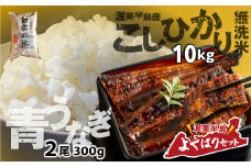 青うなぎ＆無洗米  渥美半島よくばりセット 年内 蒲焼き 鰻 ウナギ うなぎ蒲焼 惣菜 幻 簡単調理 おいしい 高評価 ふるさと納税 魚 さかな 魚介 ランキング お米 無洗米 ふるさとチョイス キャンペーン おすすめ 