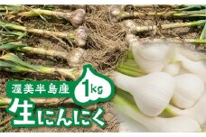≪先行予約≫ 訳あり 渥美半島産　ニンニク （生）１ｋｇ 簡易包装 にんにく 国産にんにく 平戸にんにく 愛知県 田原市 
