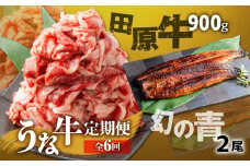幻の青うなぎ＆田原牛 堪能 定期便 6回お届け
