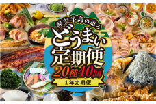 渥美半島の恵み 20種 40回 12 カ月 1年定期便 