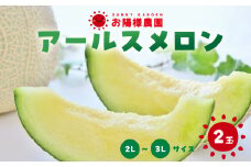 先行予約 アールスメロン 2玉 2～3Lサイズ 8月中お届け メロン めろん 果物 くだもの フルーツ お陽様農園 先行受付 お取り寄せ 田原市 渥美半島 産地直送 送料無料 事前予約