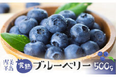 4月~6月中お届け 完熟ブルーベリー　500g