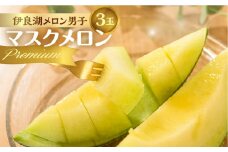 7月中お届け 先行予約 伊良湖産 限定品 マスクメロン 3玉 Premium 箱詰め メロン フルーツ 果物 お中元 お取り寄せ ギフト 渥美半島 田原市 産地直送 送料無料