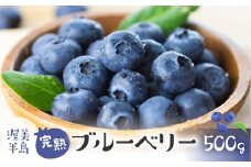 6月中お届け 完熟ブルーベリー　500g