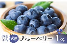 4月~6月中お届け 完熟ブルーベリー 1kg