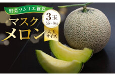 先行予約【8月中お届け】 数量限定 野菜ソムリエ推薦渥美半島伊良湖潮風育ちマスクメロン3玉大玉サイズ(5.5～6キロ)カラーギフト箱入り  田原市 伊良湖産 ギフト プレゼント お取り寄せ 渥美半島 農家直送 送料無料 25,000円