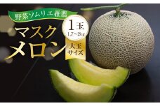 先行予約 【8月発送】数量限定 野菜ソムリエ推薦渥美半島伊良湖潮風育ちマスクメロン1玉大玉サイズ(1.7～2キロ)カラーギフト箱入り  田原市 伊良湖産 ギフト プレゼント お取り寄せ 渥美半島 農家直送 送料無料 10000円 一万円