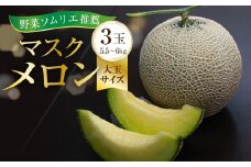 先行予約 【7月中お届け】数量限定 野菜ソムリエ推薦渥美半島伊良湖潮風育ちマスクメロン3玉大玉サイズ(5.5～6キロ)カラーギフト箱入り  田原市 伊良湖産 ギフト プレゼント お取り寄せ 渥美半島 農家直送 送料無料 25,000円