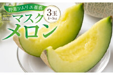 先行予約 【8月中お届け】数量限定 野菜ソムリエ推薦渥美半島伊良湖潮風育ちマスクメロン3玉(4～5キロ)カラーギフト箱入り　 田原市 伊良湖産 ギフト プレゼント お取り寄せ 渥美半島 農家直送 送料無料 17000円