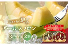 【8月中お届け】【先行予約】メロン 3L × 2玉  日研農園 ／ メロン めろん 先行予約 フルーツ 果物 アールスメロン 青肉メロン 旬 夏 厳選 高級 人気 デザート  メロン ゼリー 贈答用 贈答品 贈答 メロン パン 産直 産地直送 ギフト プレゼント 贈り物 愛知県 特産品 産地直送 田原市 渥美半島 12000円 7月 8月 9月