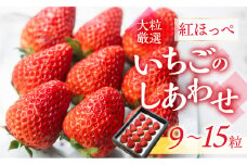 ≪先行予約≫【愛知県・田原産】ブランドいちご「いちごのしあわせ」約9粒～15粒  2月中お届け ／ 苺 イチゴ フルーツ 果物 農薬節減 愛知県 特産品 産地直送 田原市 渥美半島