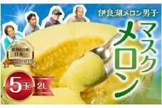 7月中お届け 伊良湖産 マスクメロン 5玉  箱詰め メロン フルーツ 果物 お中元 お取り寄せ ギフト 渥美半島 田原市 産地直送 送料無料