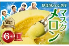 7月中お届け 伊良湖産 マスクメロン 6玉  箱詰め メロン フルーツ 果物 お中元 お取り寄せ ギフト 渥美半島 田原市 産地直送 送料無料