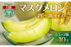 8月お届け 伊良湖産 マスクメロン 5玉入り 2箱 計10玉