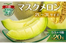 7月中お届け 伊良湖産 マスクメロン 5玉入り 4箱 計20玉