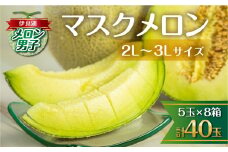 7月中お届け 伊良湖産 マスクメロン 5玉入り 8箱 計40玉 