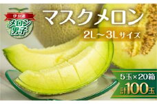 8月中お届け 伊良湖産 マスクメロン 5玉入り 20箱 計100玉