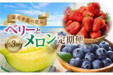 渥美半島の恵み フルーツ 定期便 ( いちご / ブルーベリー / メロン ) 3回お届け